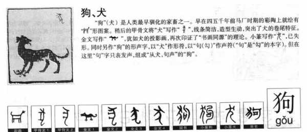 文字狗演变过程（狗汉字演变过程）-图2