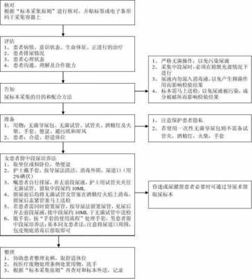 尿培养过程（尿培养的原理）-图3