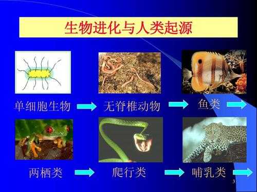 单细胞的进化过程（单细胞生物进化历程）-图1