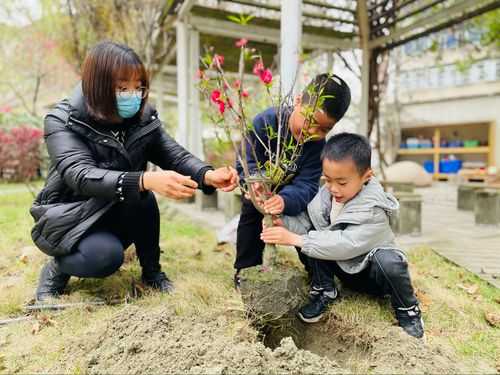 亲子植树活动过程（亲子植树活动方案）-图1