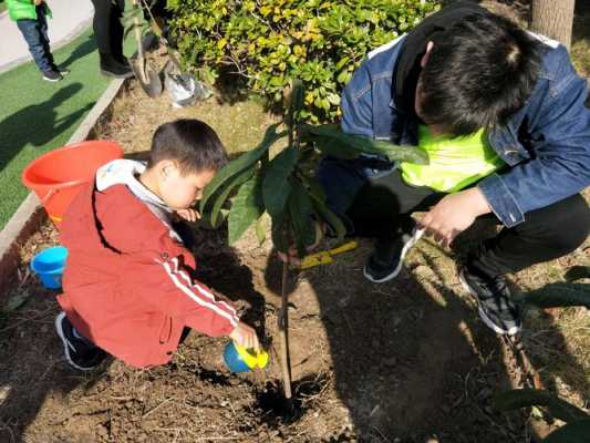 亲子植树活动过程（亲子植树活动方案）-图3