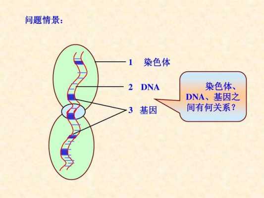 基因表达过程是（基因表达过程是什么）-图3