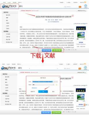 文献下载过程（文献下载方法）-图1