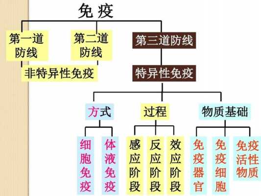 主动免疫过程是（主动免疫的概念）-图1