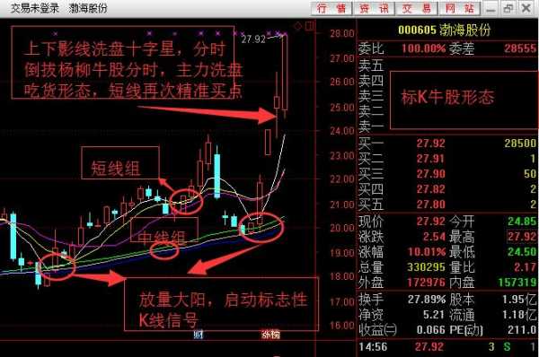 牛股全过程（牛股介绍）-图3