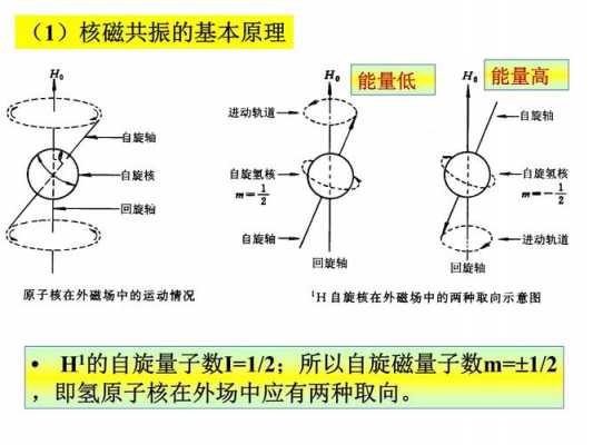 核磁共振过程中（核磁共振过程中原子核从高能量到低能量）-图1