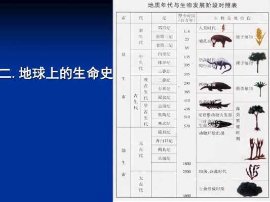 生物进化过程实验（生物进化实例）-图1