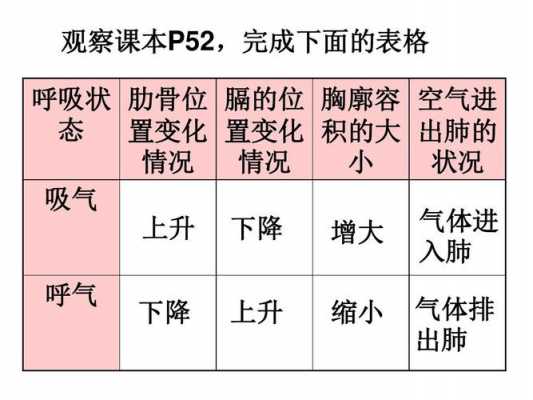 平静呼吸的呼气过程（平静呼吸时呼吸的特点）-图3