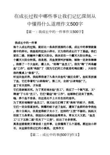 成长过程中懂得的道理（成长过程中懂得的道理作文600字）-图2