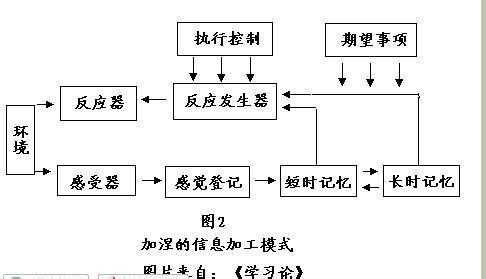 信息加工过程视频（信息加工的几种方式）-图1