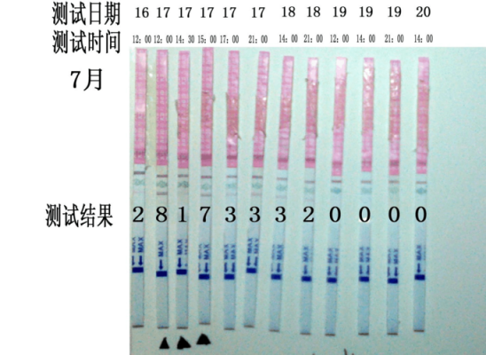 受孕排卵过程记录（受孕排卵过程记录怎么写）-图1