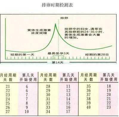 受孕排卵过程记录（受孕排卵过程记录怎么写）-图2