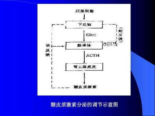 激素调节过程图.（激素调节的过程示意图）-图2