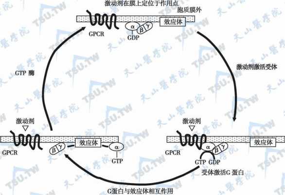 循环过程UHSG（循环过程的净功是什么）-图2