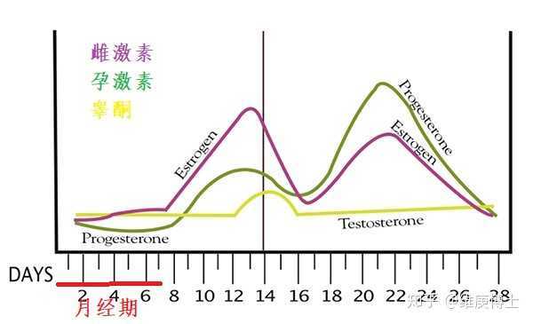 减激素过程中有哪些症状（减激素过程中有哪些症状和表现）-图2