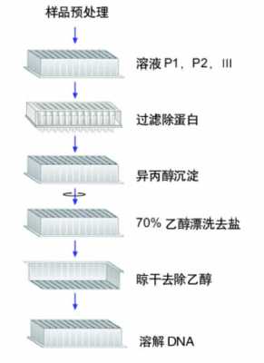 提取空箱过程（提取空箱的作业流程）-图2