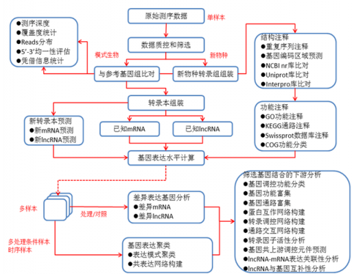 univariate过程（univariate过程分析）-图3