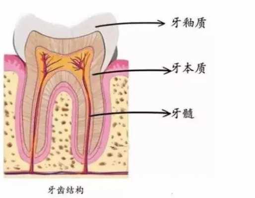 牙齿病变的过程（牙齿有病变是怎么回事）-图1