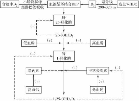 1.80.24过程（56+44+81的过程）-图2