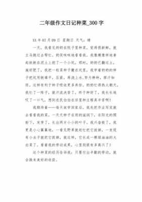 种菜过程300字（种菜的详细过程周记）-图1