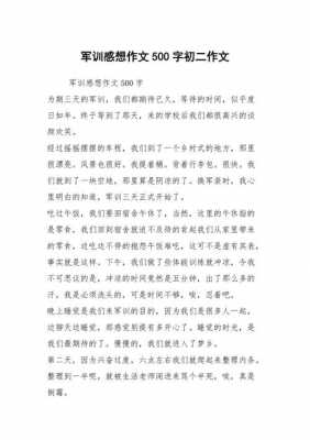 军训过程500作文（军训过程作文500字）-图2