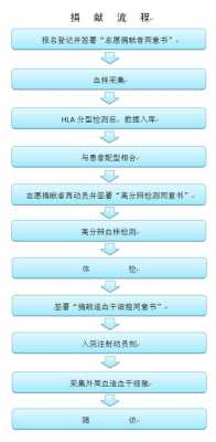 髓造血的过程（骨髓造血流程图）-图3