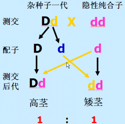 何为分离过程_分离过程的特征_比较esa（分离过程特点）-图1