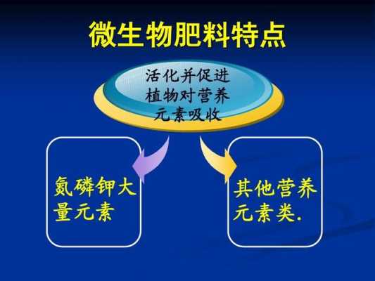 植物肥料制作过程（植物肥料的作用）-图2