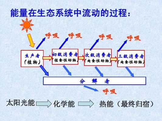 实体流动过程（物质实体的流动过程）-图3