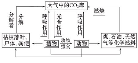 实体流动过程（物质实体的流动过程）-图2