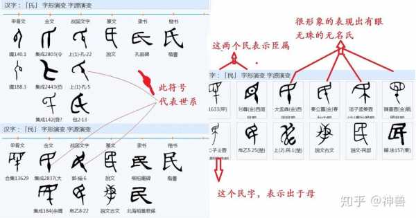 氏的演变过程（氏字的演变过程）-图2