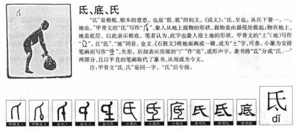 氏的演变过程（氏字的演变过程）-图3