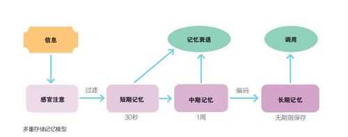 大脑记忆过程的特点（大脑记忆的三大规律）-图3