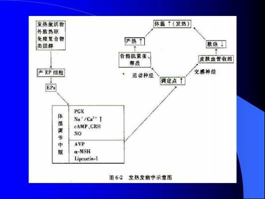 病理生理过程包括什么（病理生理过程包括什么过程）-图3