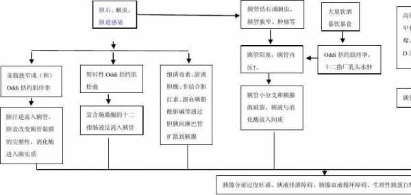 病理生理过程包括什么（病理生理过程包括什么过程）-图1