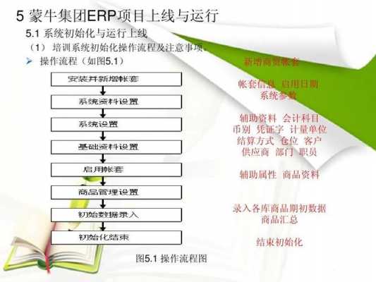 erp项目实施过程案例（erp项目实施过程案例分析）-图2