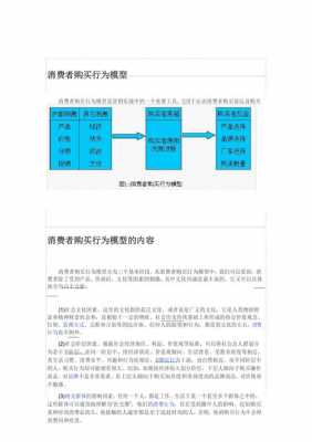 购买行为过程分析报告（购买行为过程分析报告模板）-图1