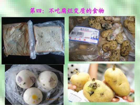 食物变质的过程（食物变质的过程文字）-图1