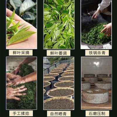 普洱茶的制作过程（普洱茶的制作过程与方法）-图1