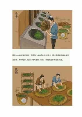 普洱茶的制作过程（普洱茶的制作过程与方法）-图2