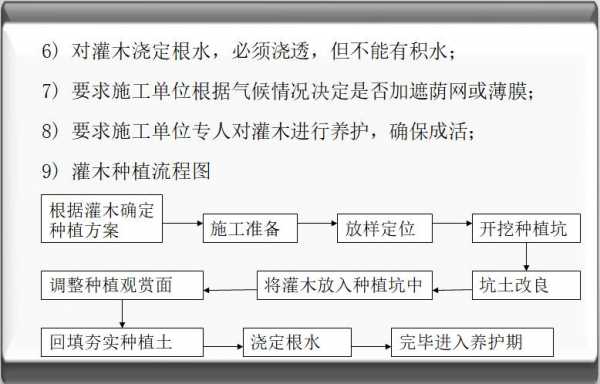 造林过程总结（造林工程实施流程）-图1