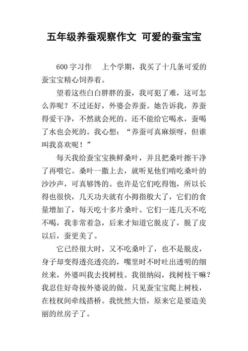 养蚕的观察过程（养蚕的观察作文）-图2