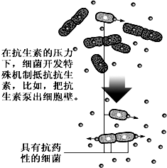 细菌休眠的过程（细菌休眠形式）-图3