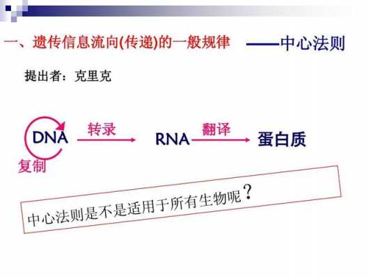 遗传信息的转录的过程（遗传信息转录的原则）-图2