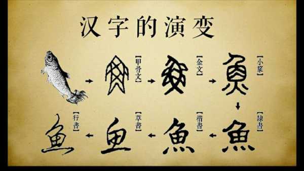 汉字演变过程梦（汉字演变篇）-图3