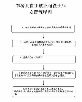 退役士兵安置过程（退役士兵安置流程）-图3