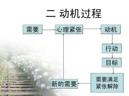 动机过程是直接强化（动机的强化原理）-图2