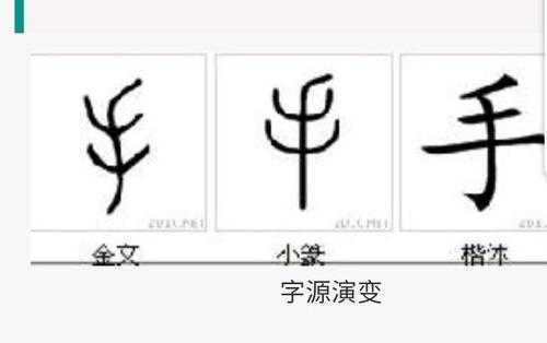 手字演变过程（手的演变过程和字义）-图2