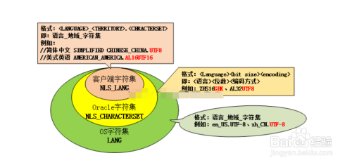 sqlplus编译存储过程（sqlcipher编译）-图3