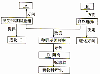 物种演变过程图（物种演变的三个环节）-图3